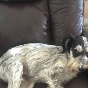 Meet your Posher, Patsy mcleod